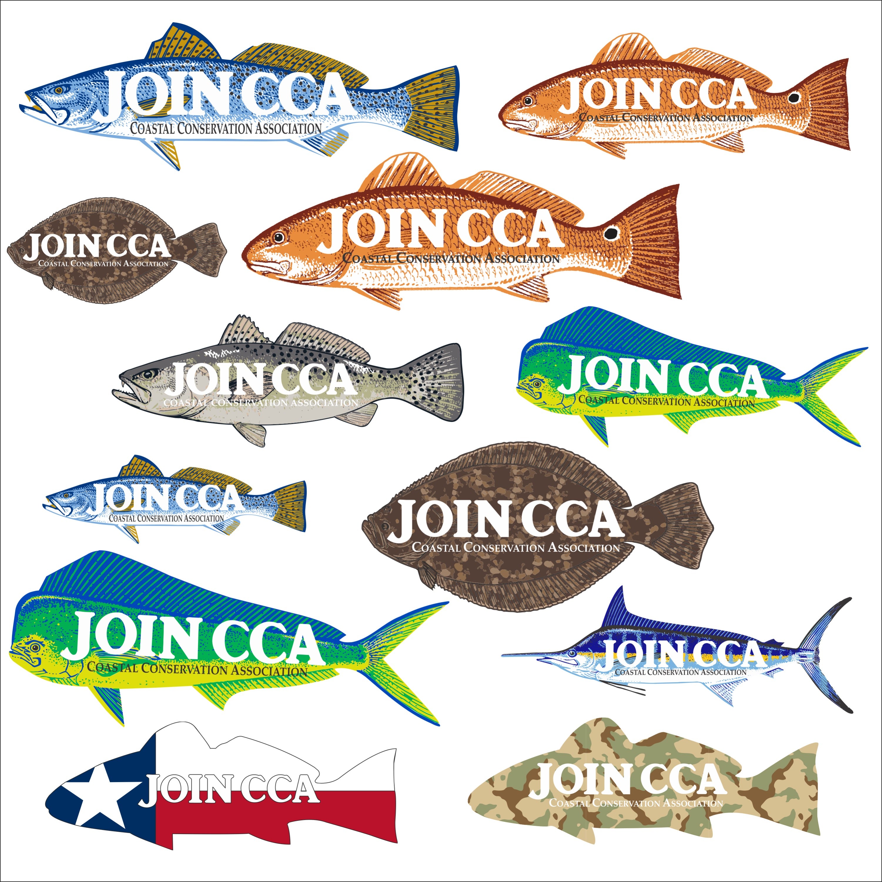 CCA Store, image size:3001x3001