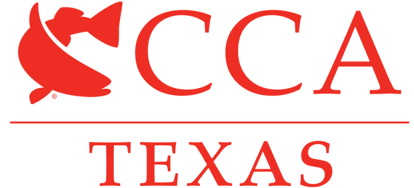 CCA Store logo