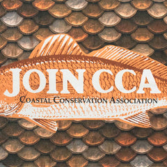 Join CCA w/ Scales Beach Towel